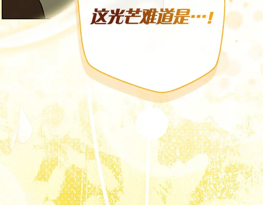 第224页