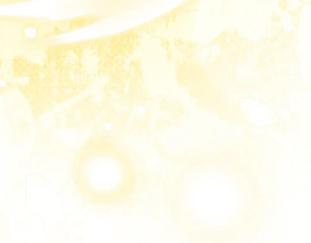 第228页