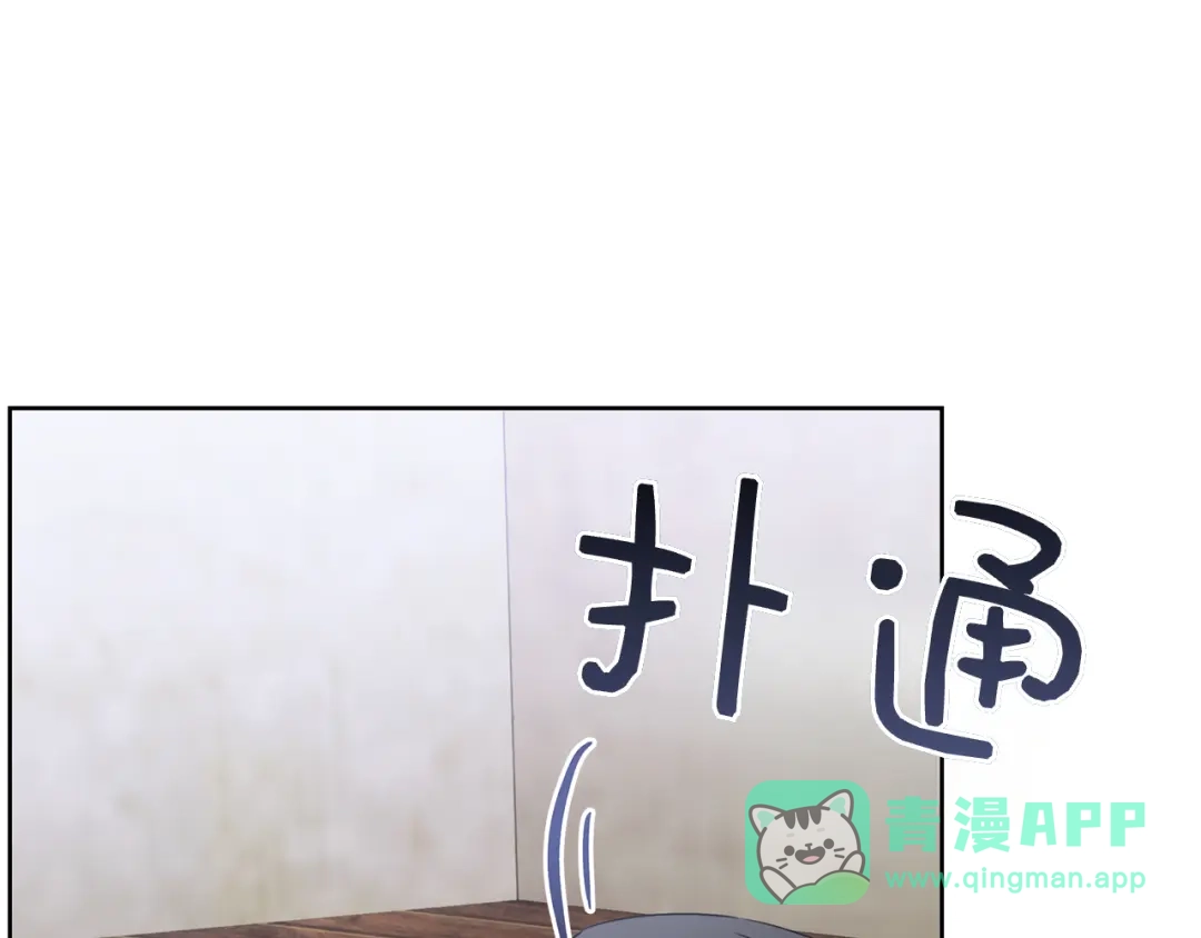 第251页