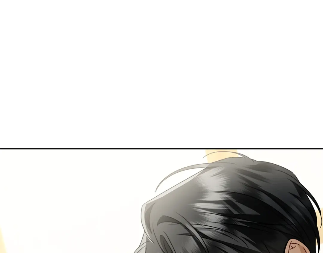 第223页