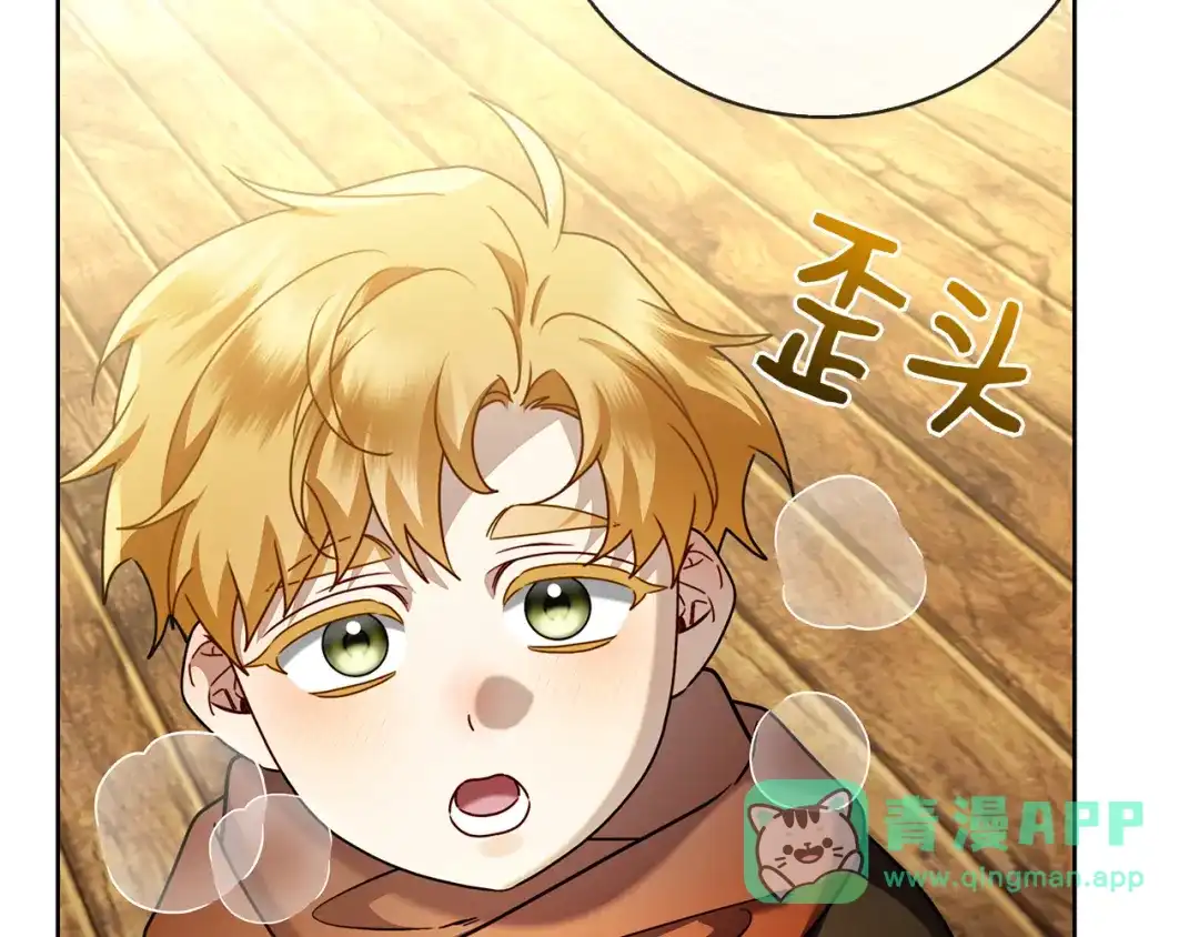 第241页