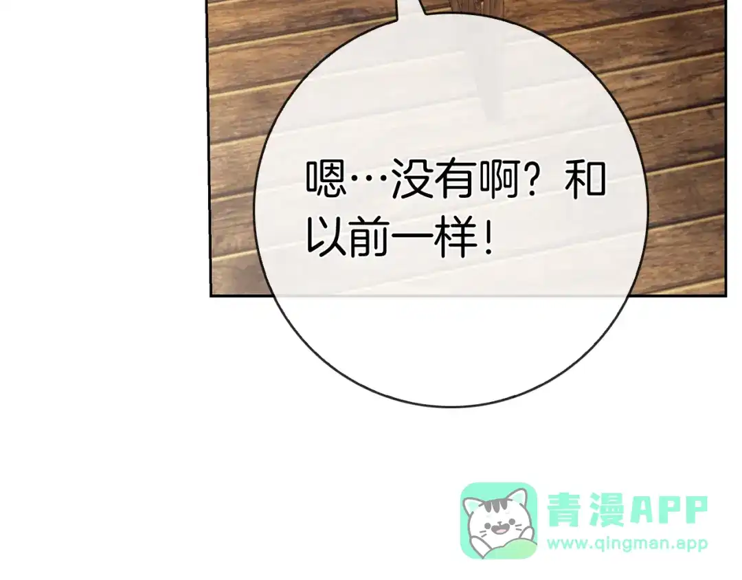 第246页