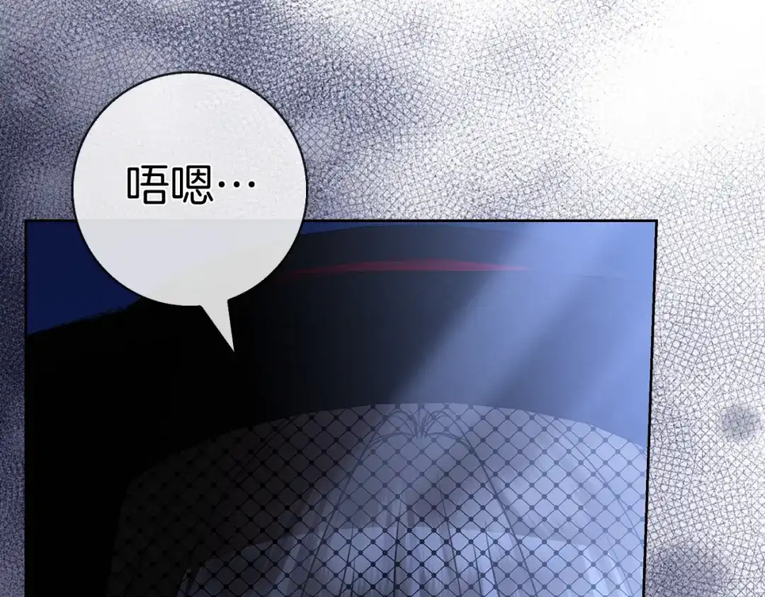 第243页
