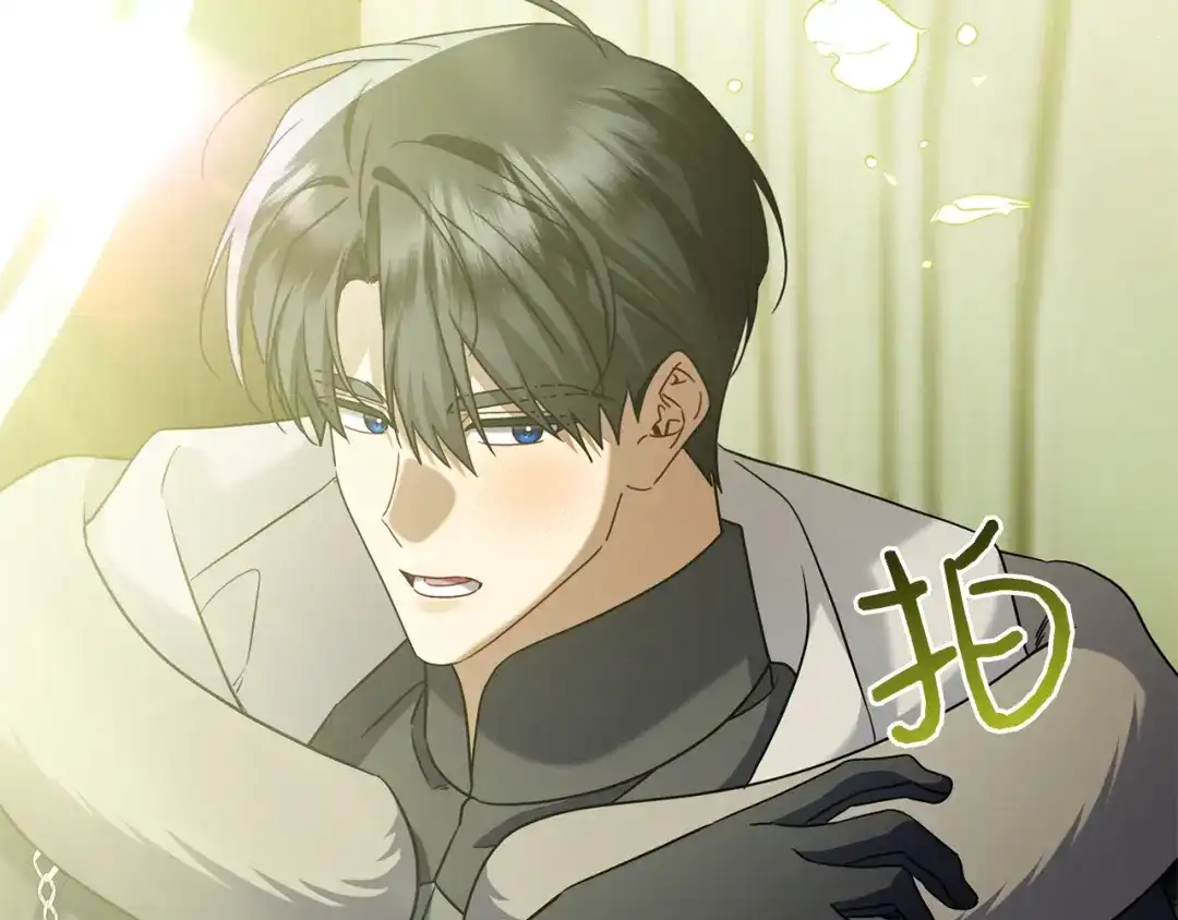 第224页