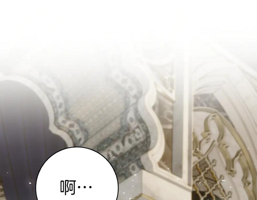 第223页