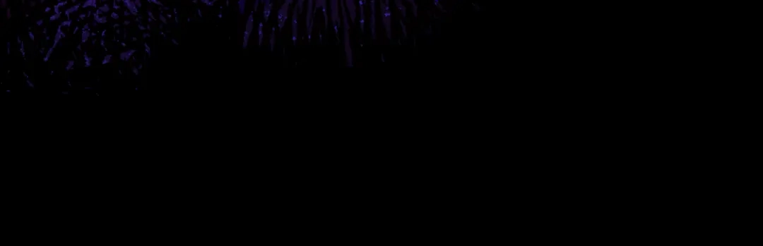 第235页