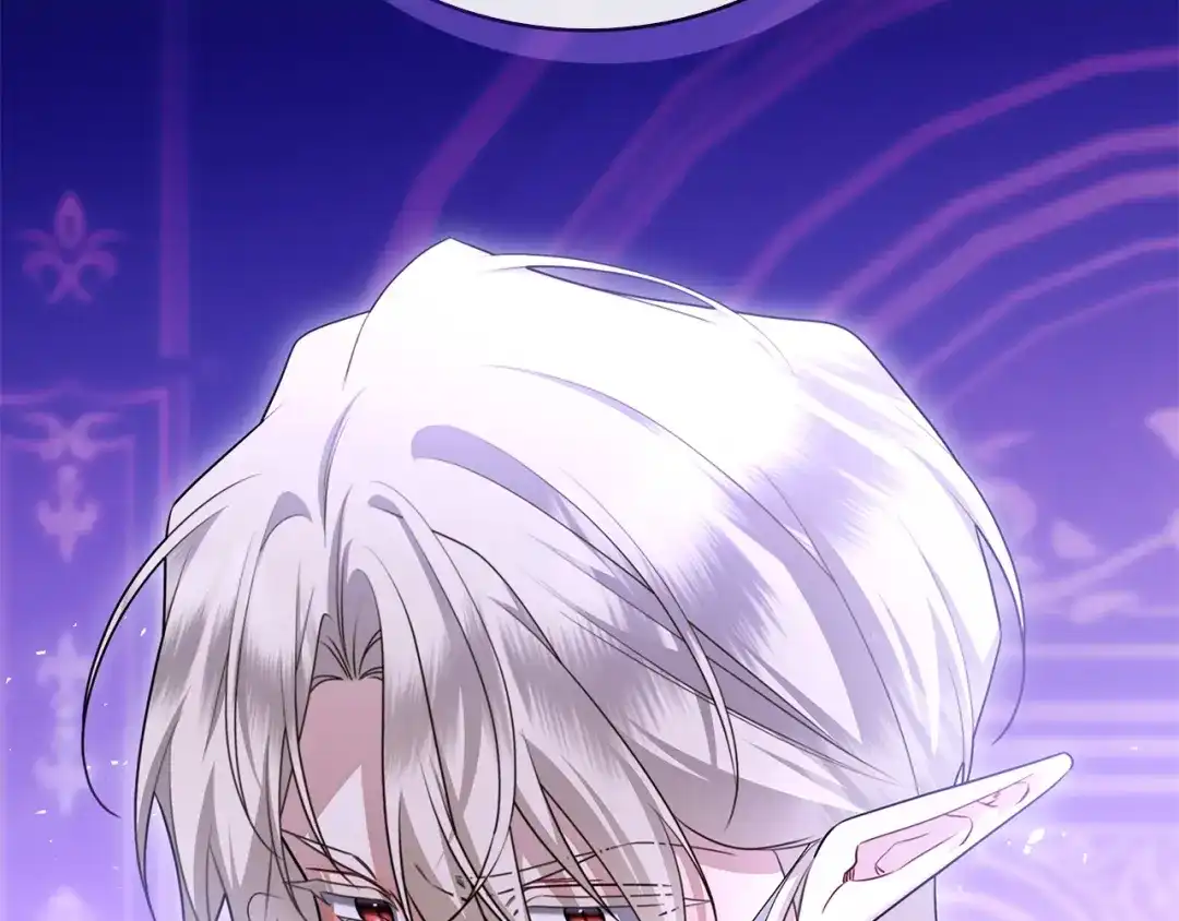 第240页