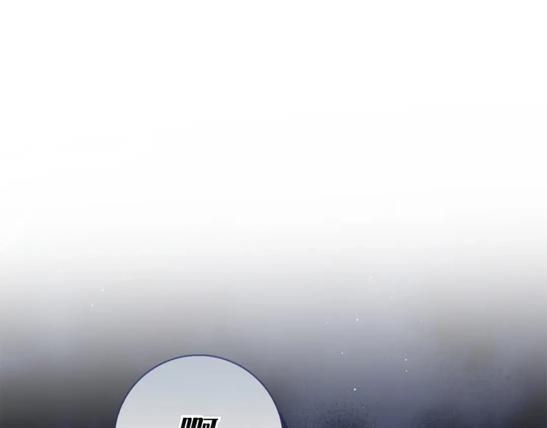 第263页
