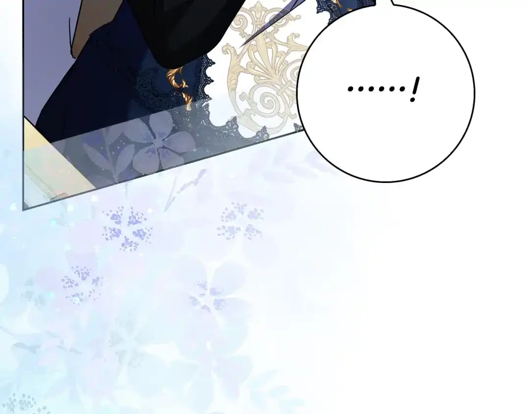 第242页