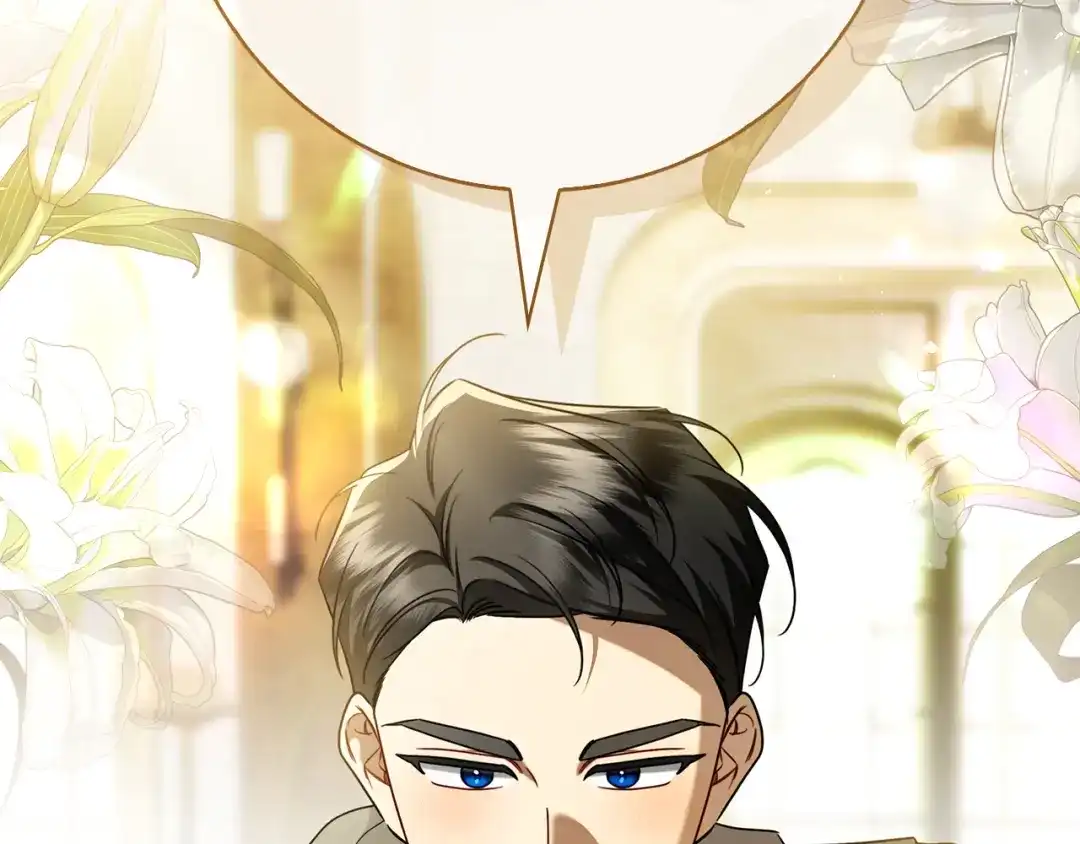 第242页