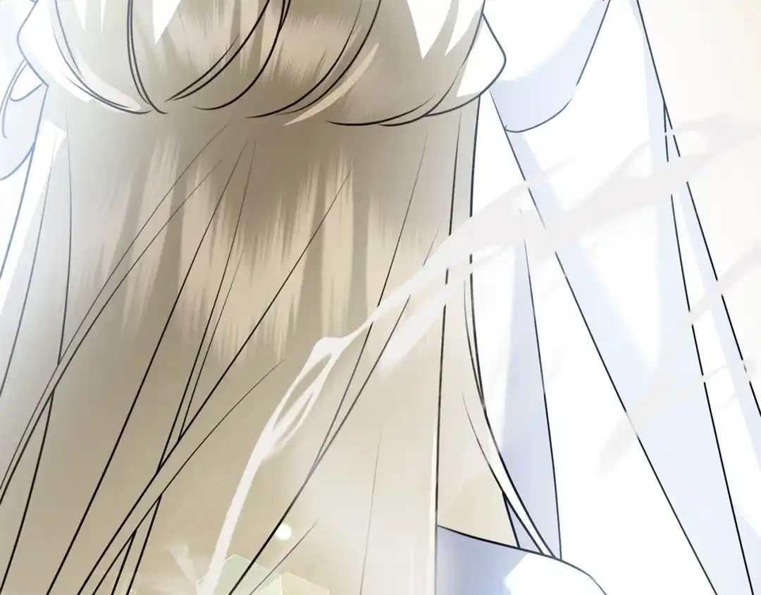 第217页