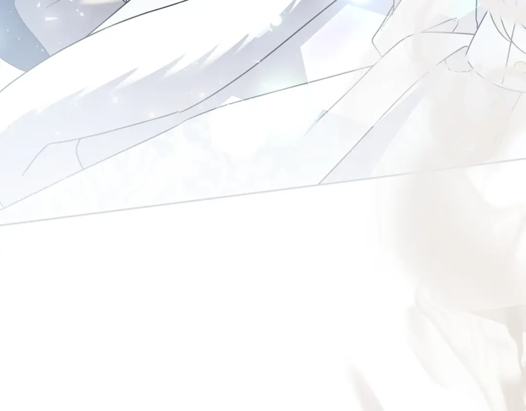 第229页