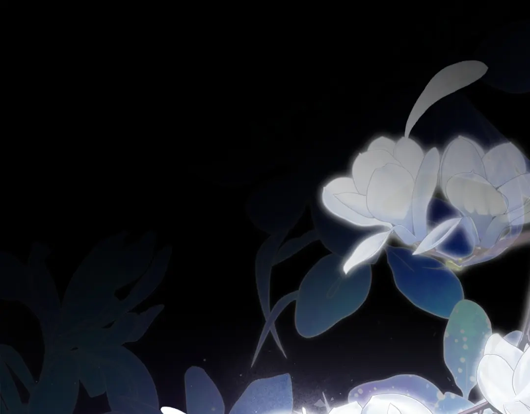 第255页