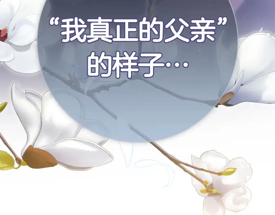 第260页