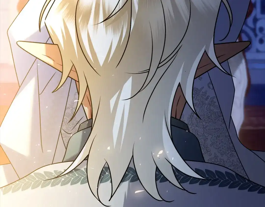 第247页