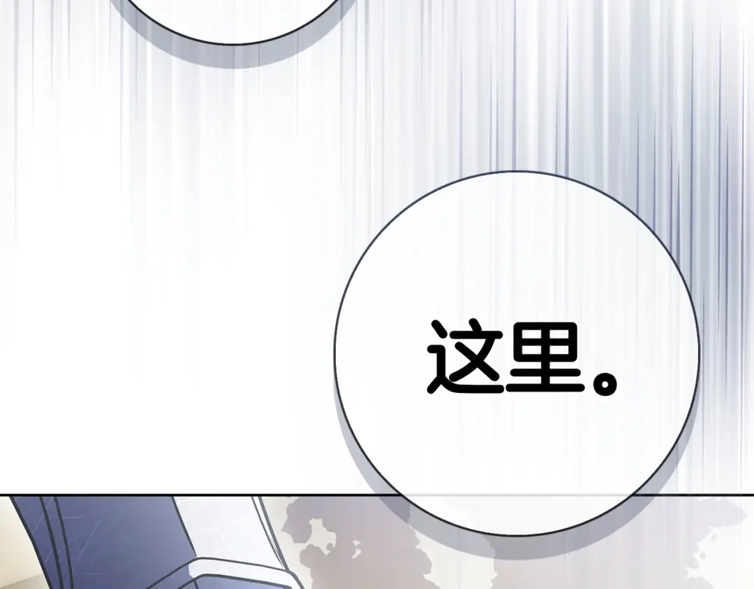 第243页