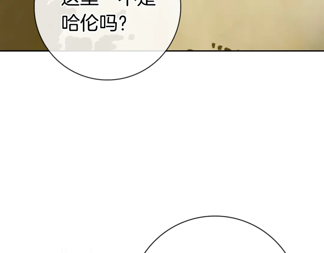 第246页