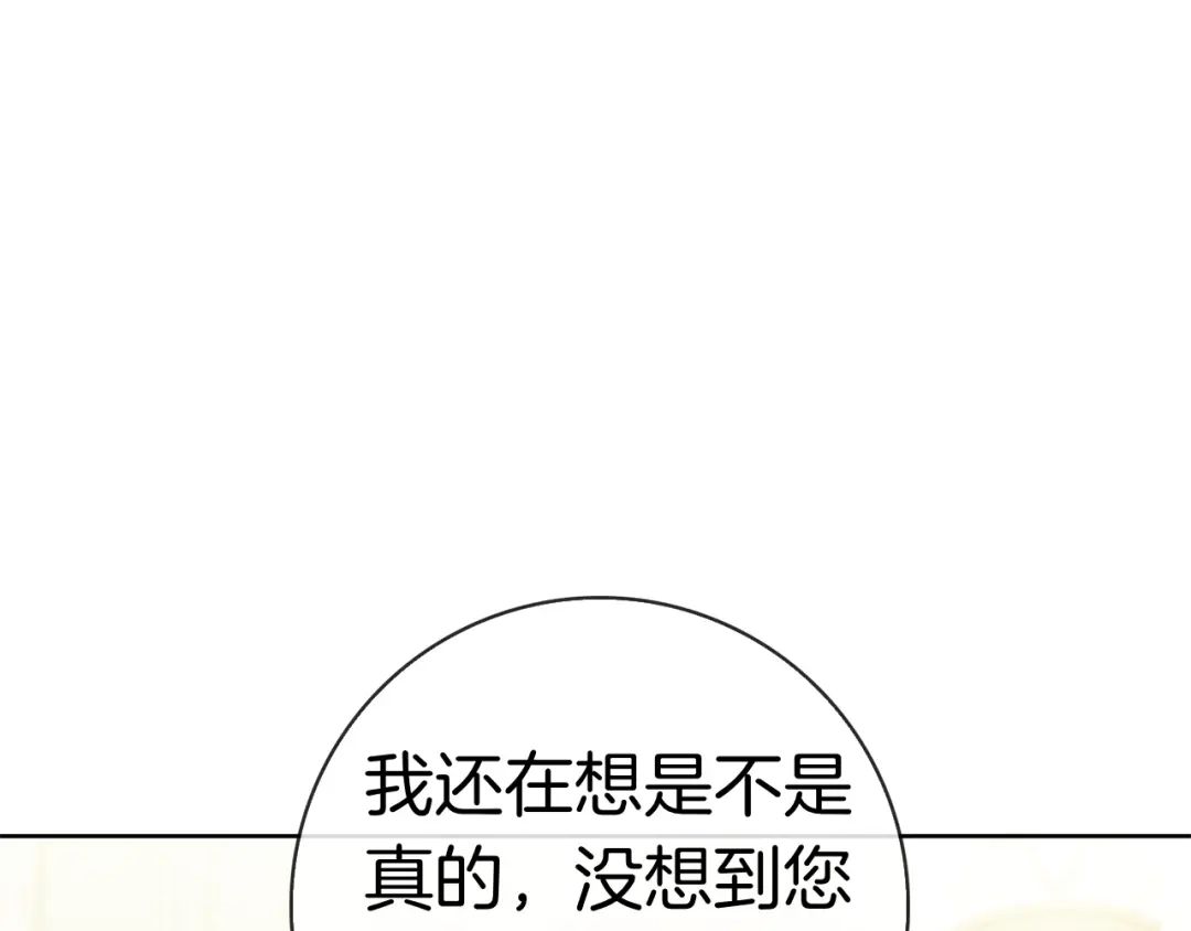 第221页