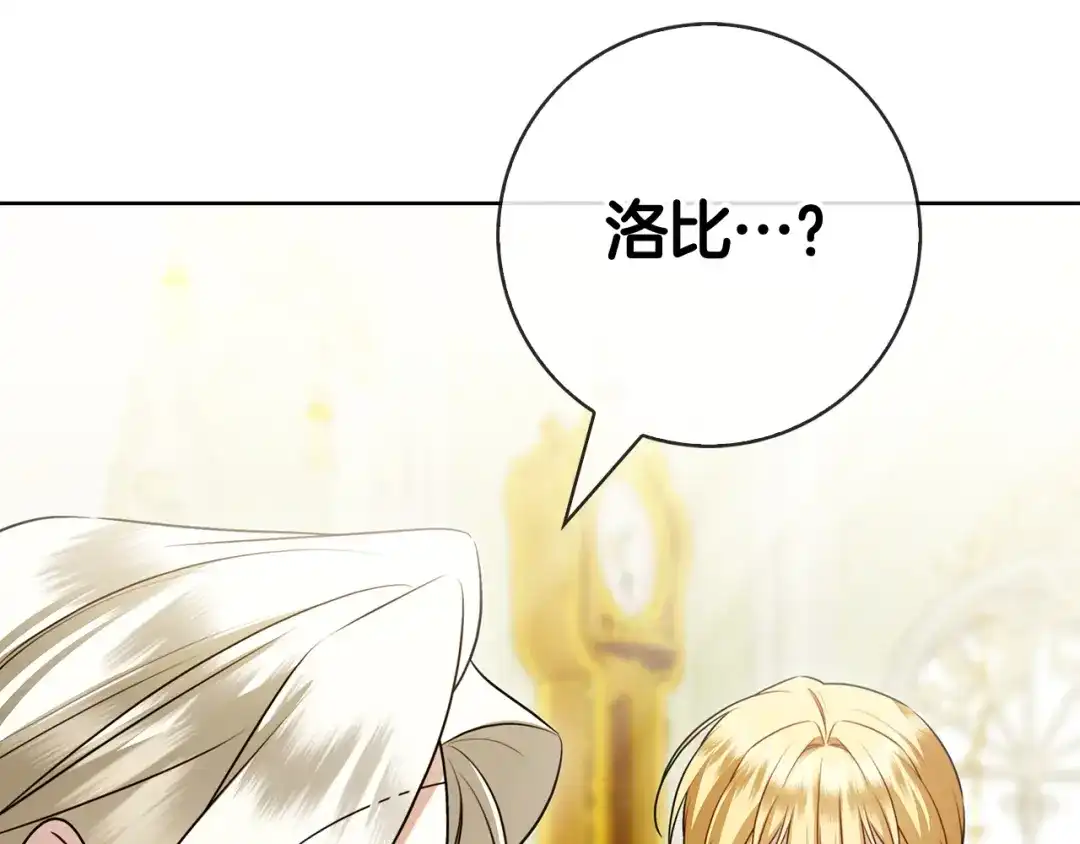 第239页