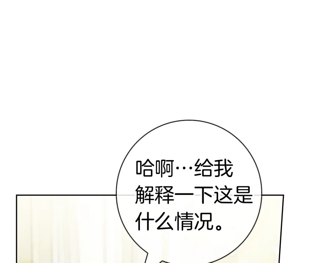 第251页