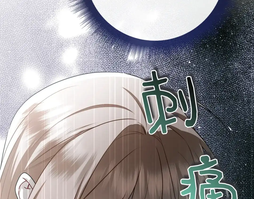 第223页