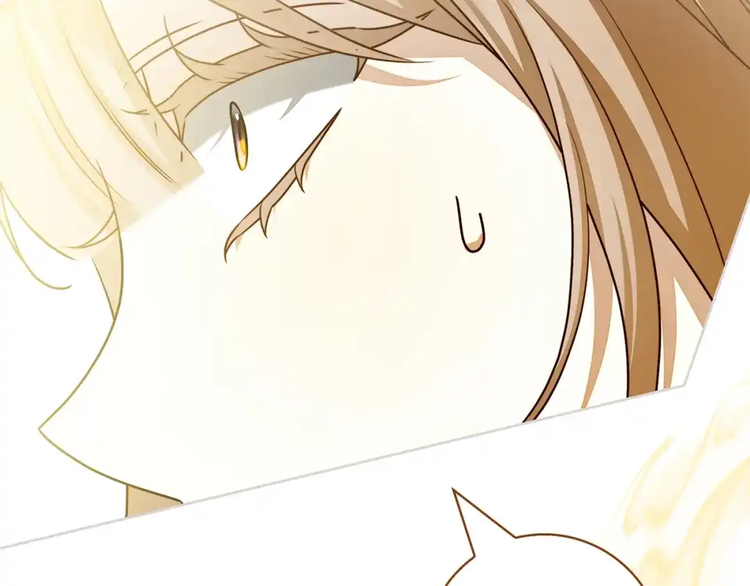 第244页