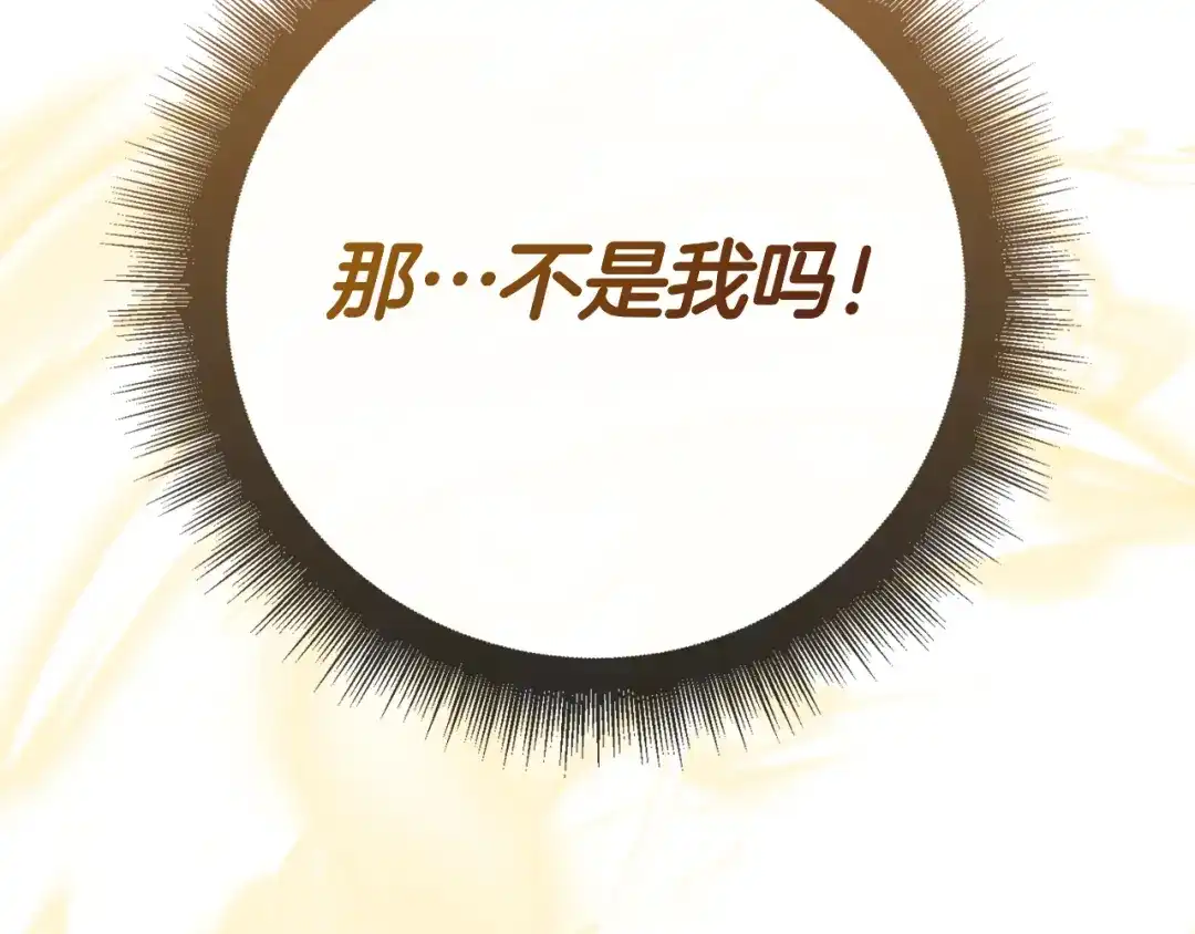第251页