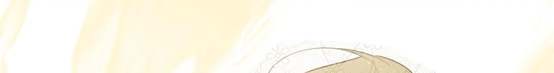 第252页