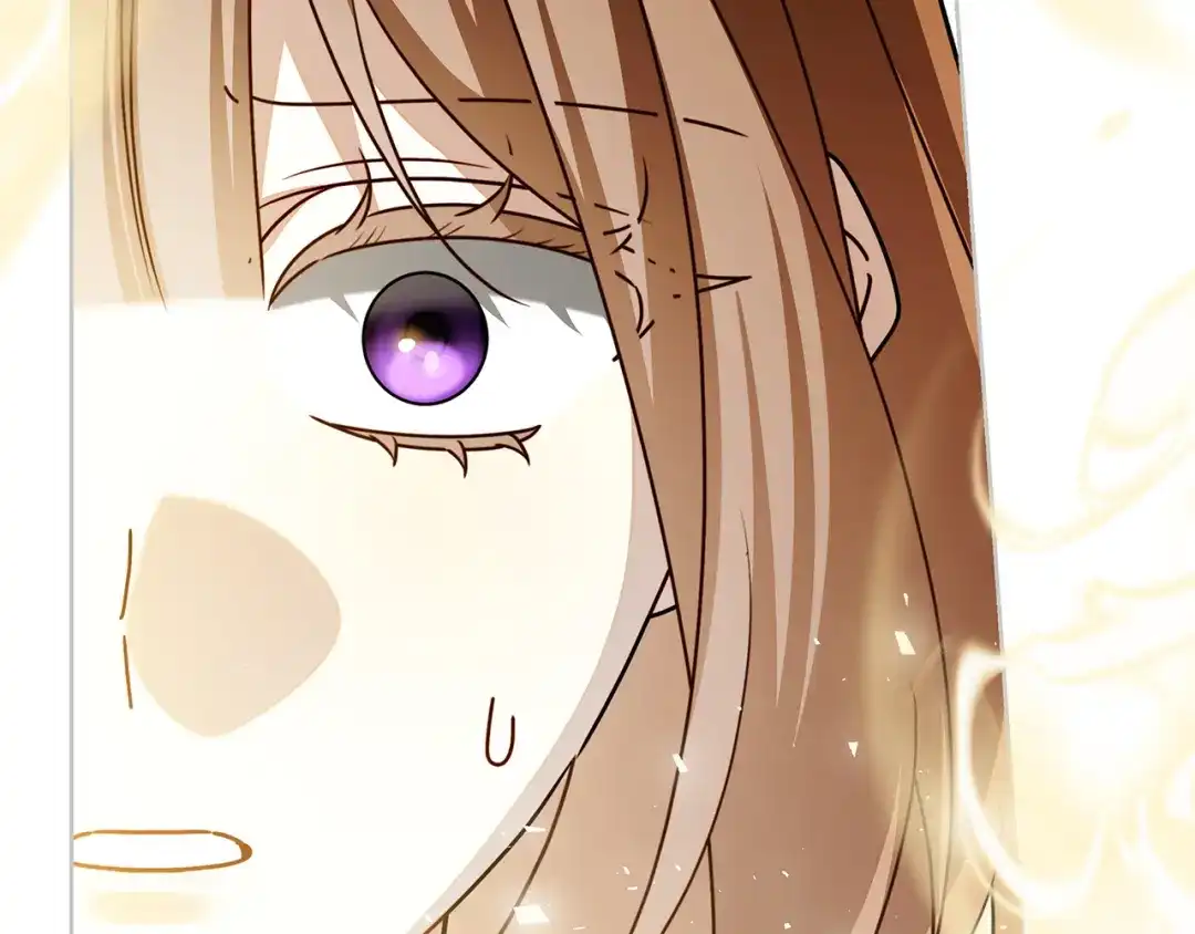 第256页