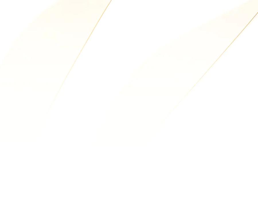第294页