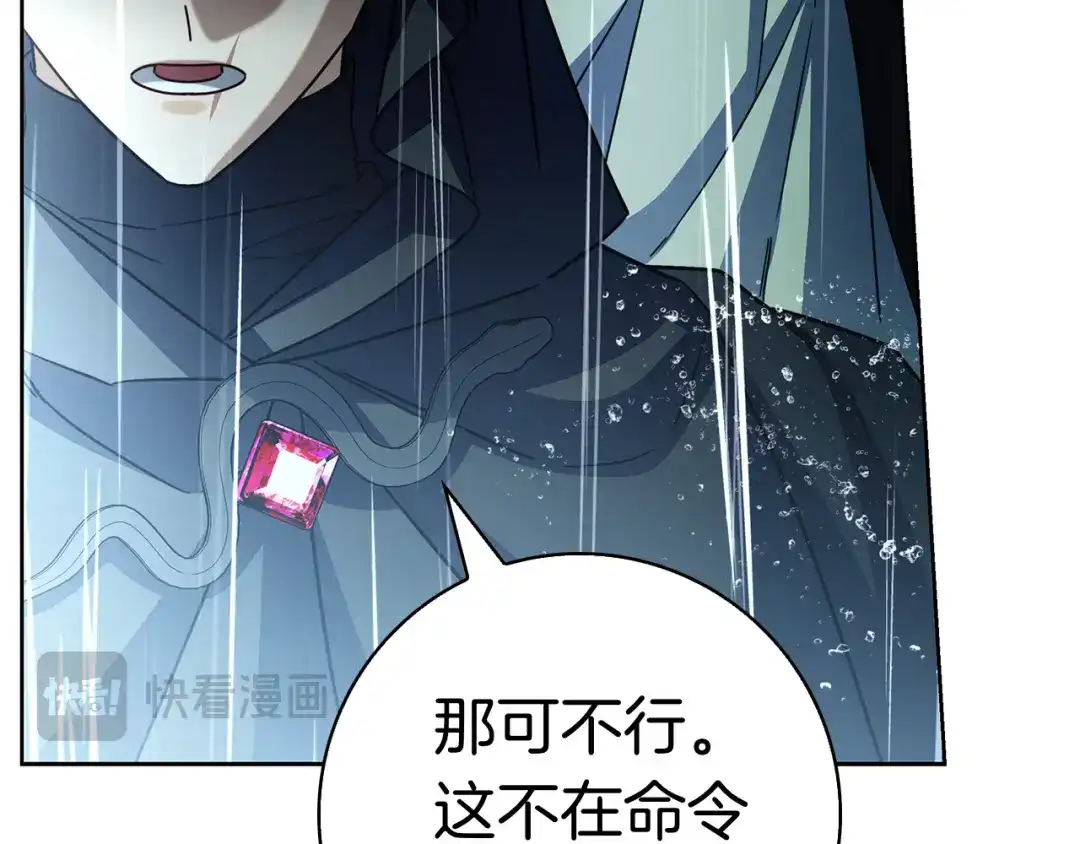 第219页