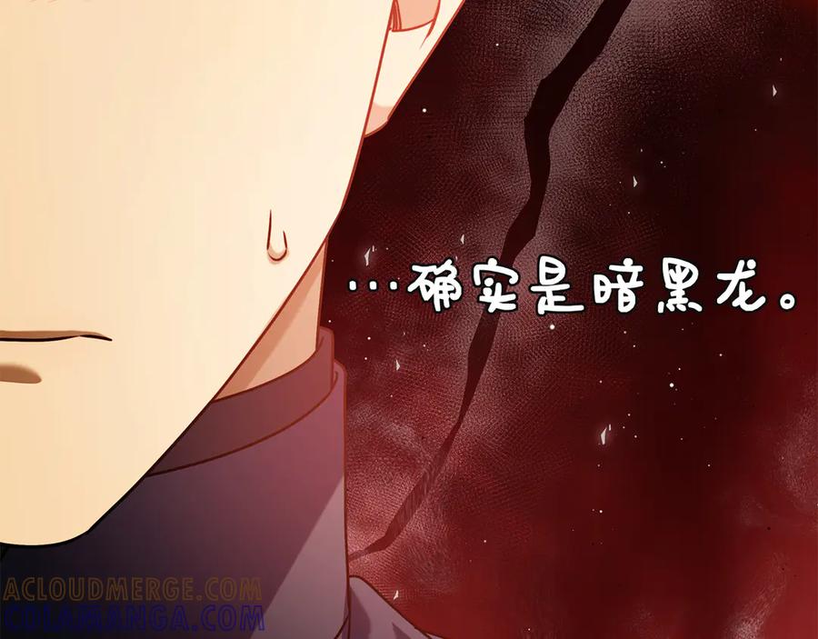 第221页