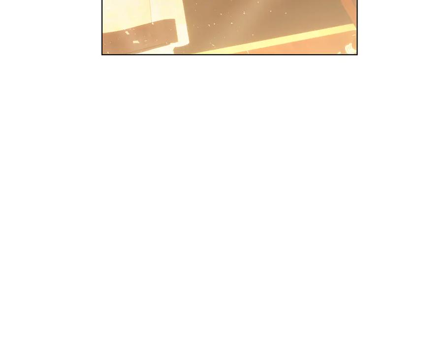 第238页