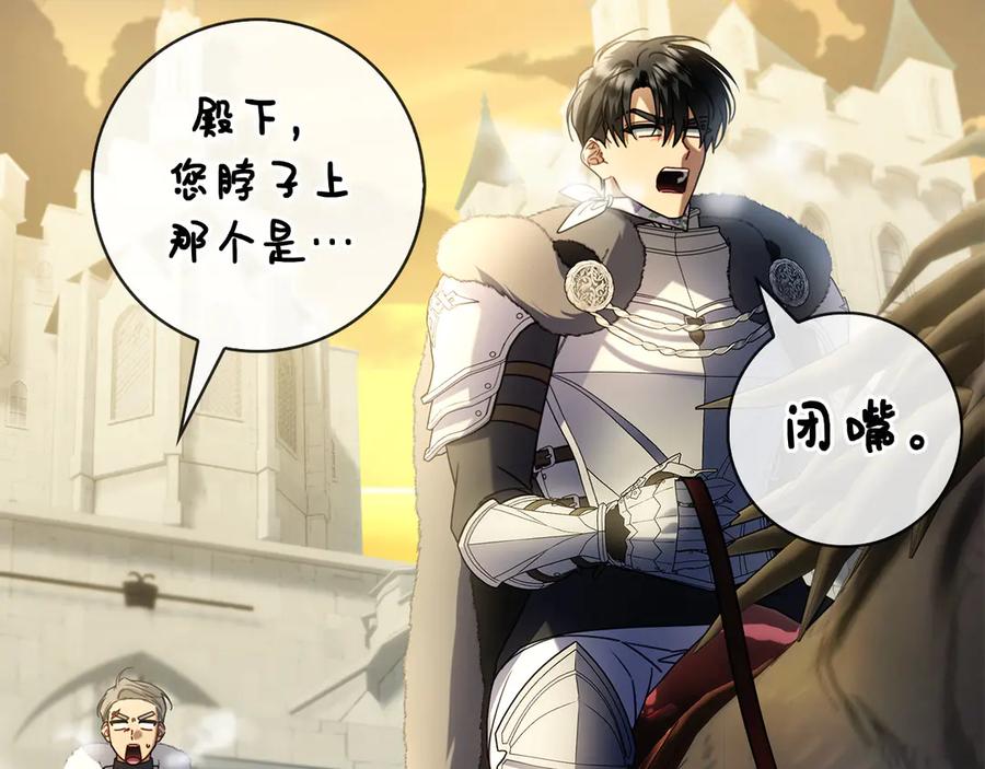 第244页