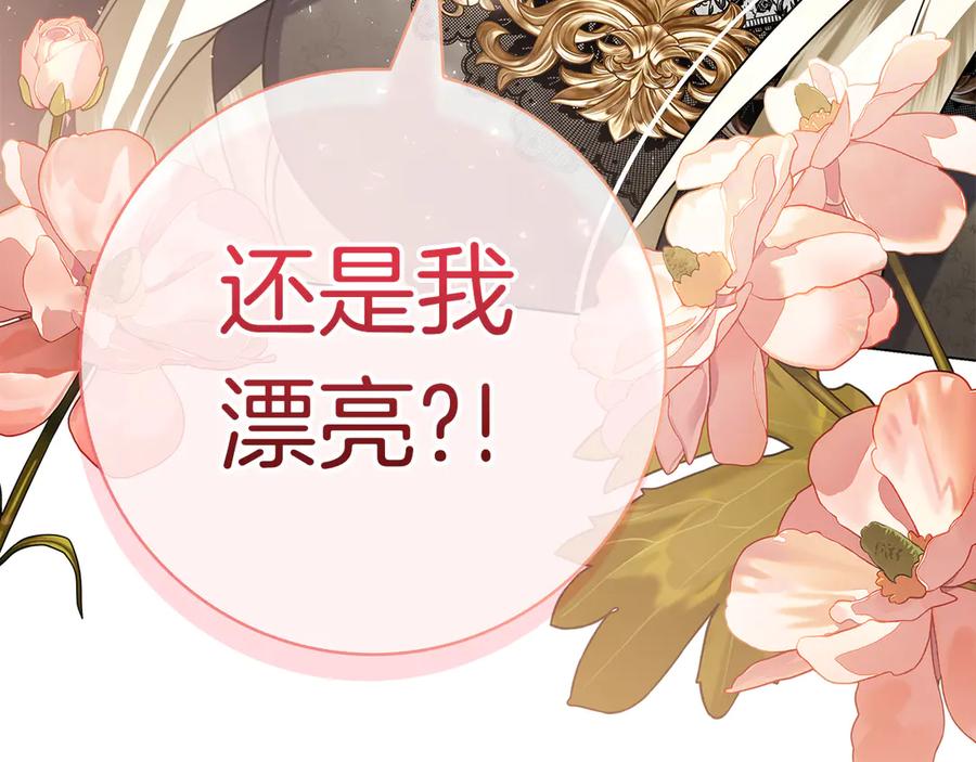 第258页