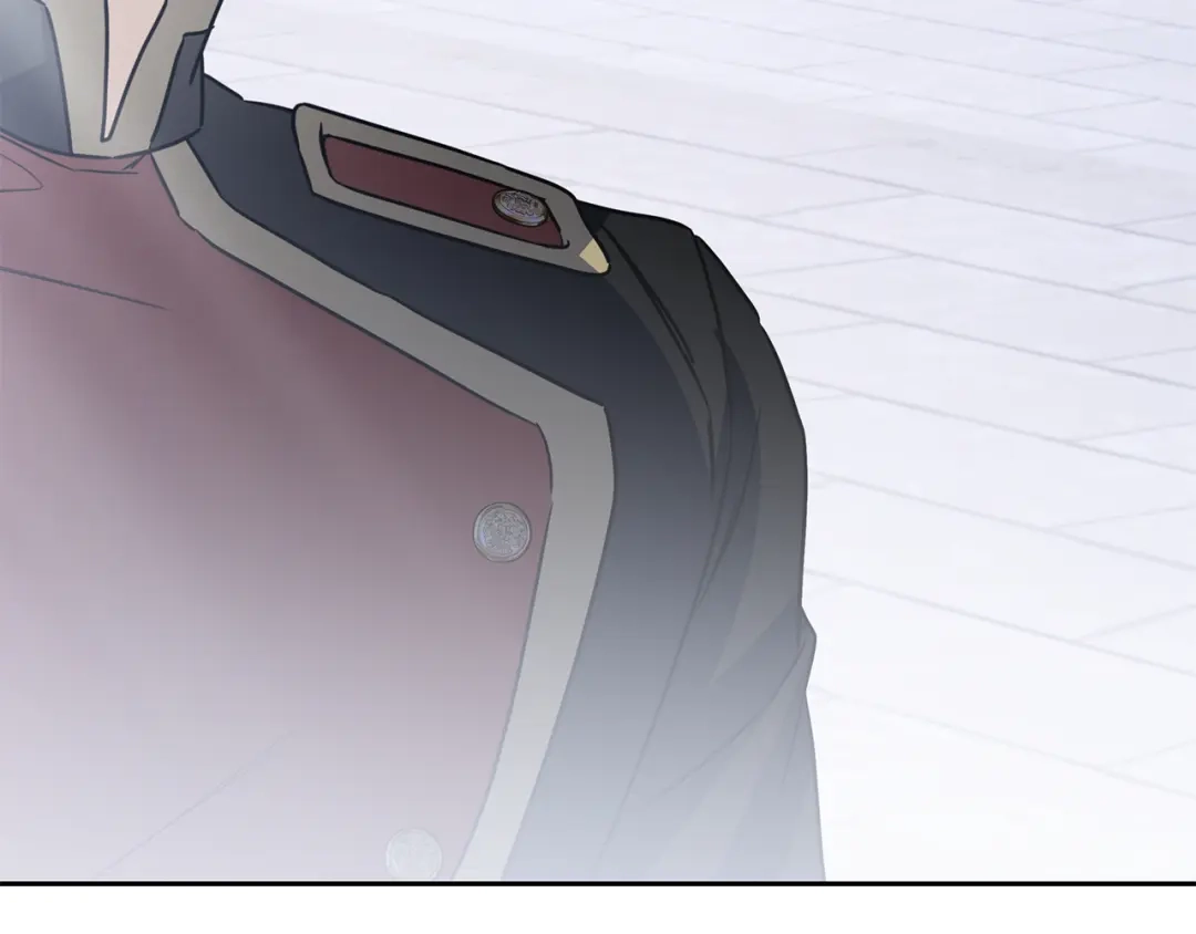 第231页