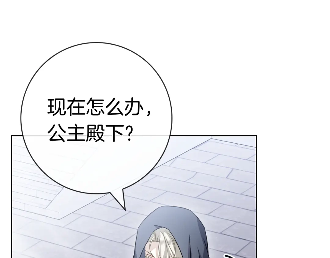 第237页