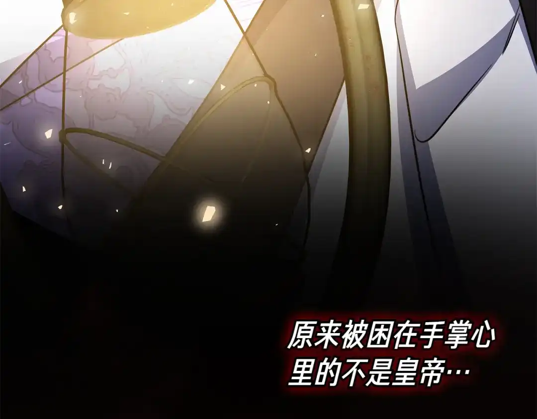 第242页