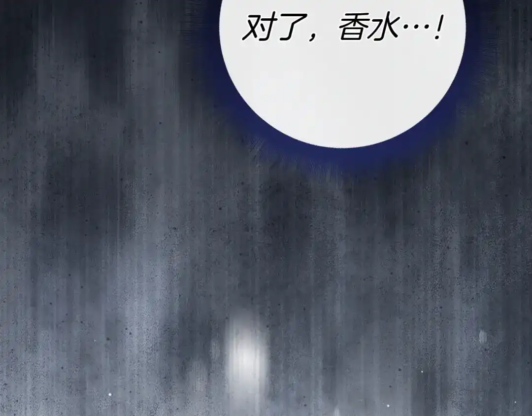 第250页