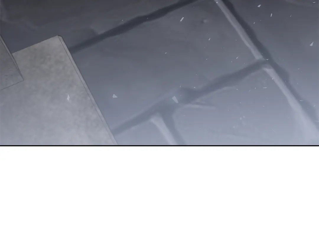 第291页