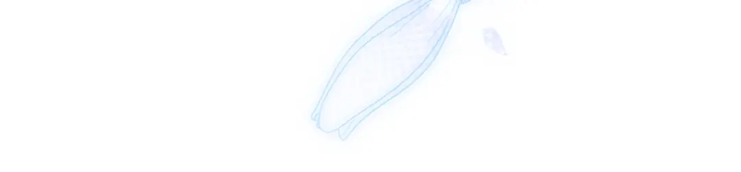 第316页