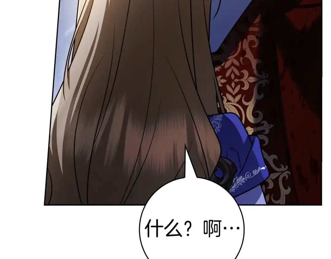 第221页