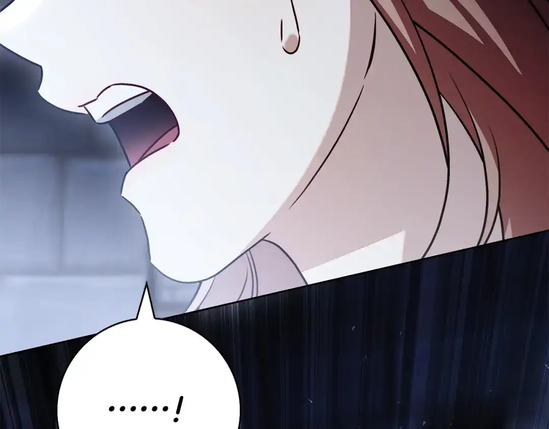 第233页
