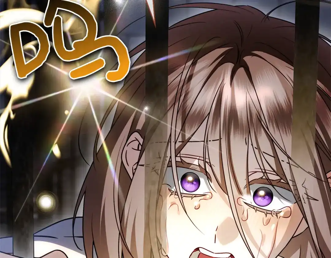 第262页