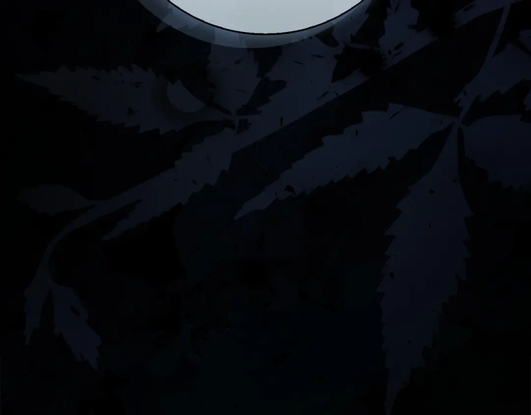 第285页