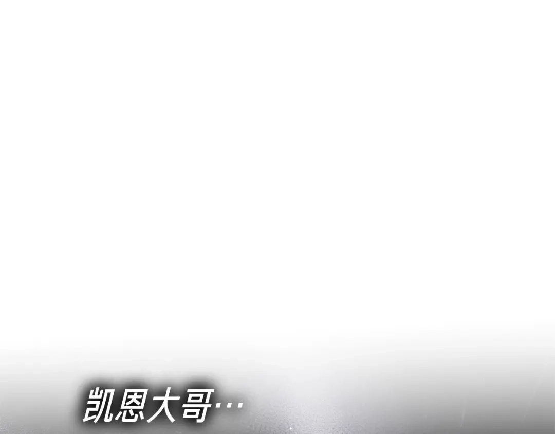 第300页
