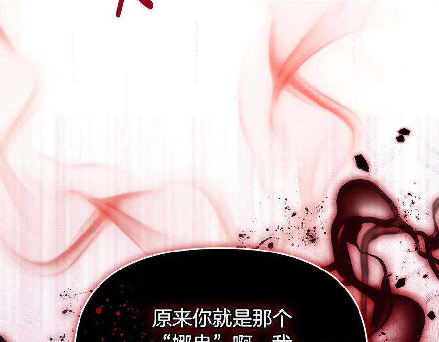 第240页