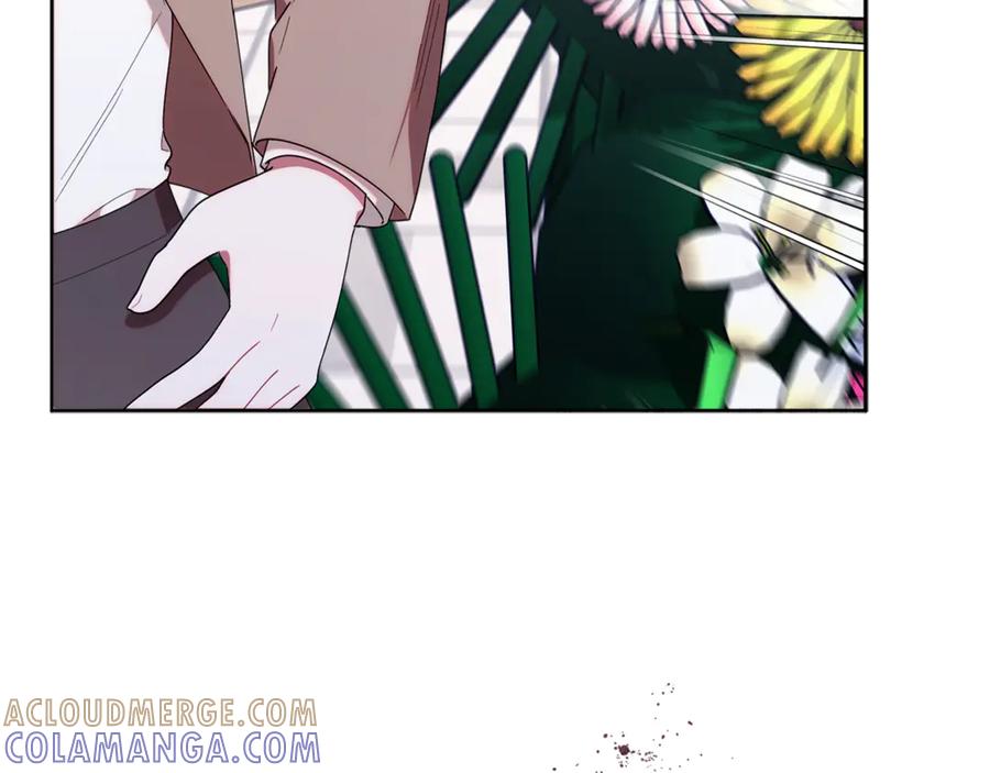 第205页