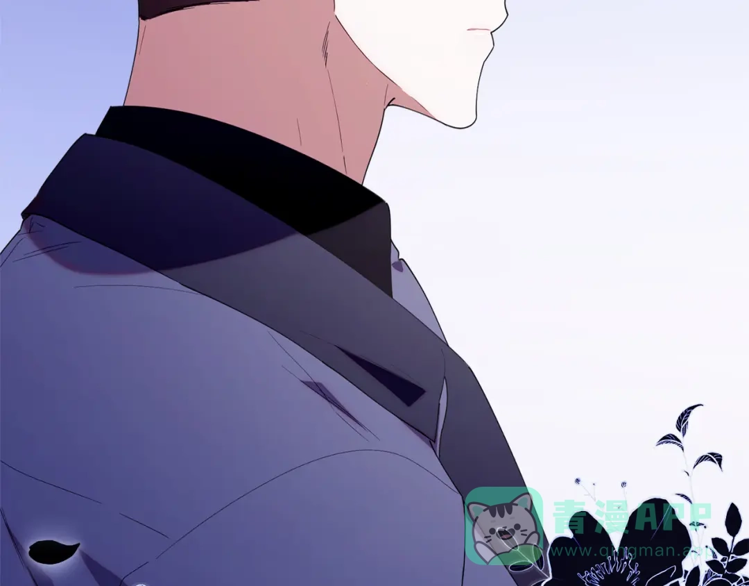 第231页
