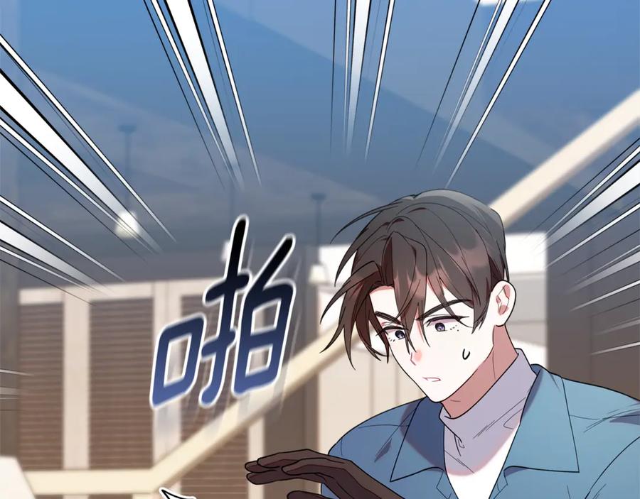 第204页